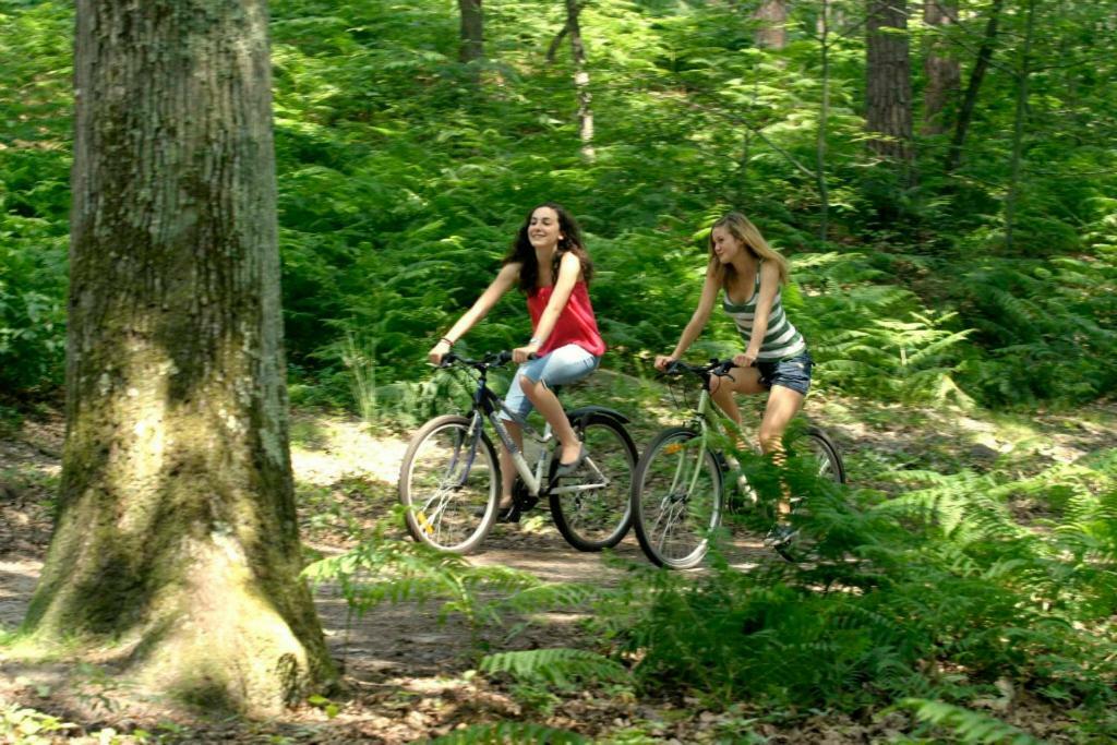 Etape Foret Fontainebleau Climb & Randonnees Arbonne-la-Foret Luaran gambar