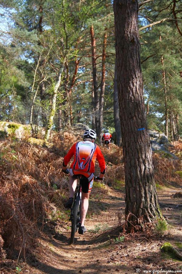 Etape Foret Fontainebleau Climb & Randonnees Arbonne-la-Foret Luaran gambar